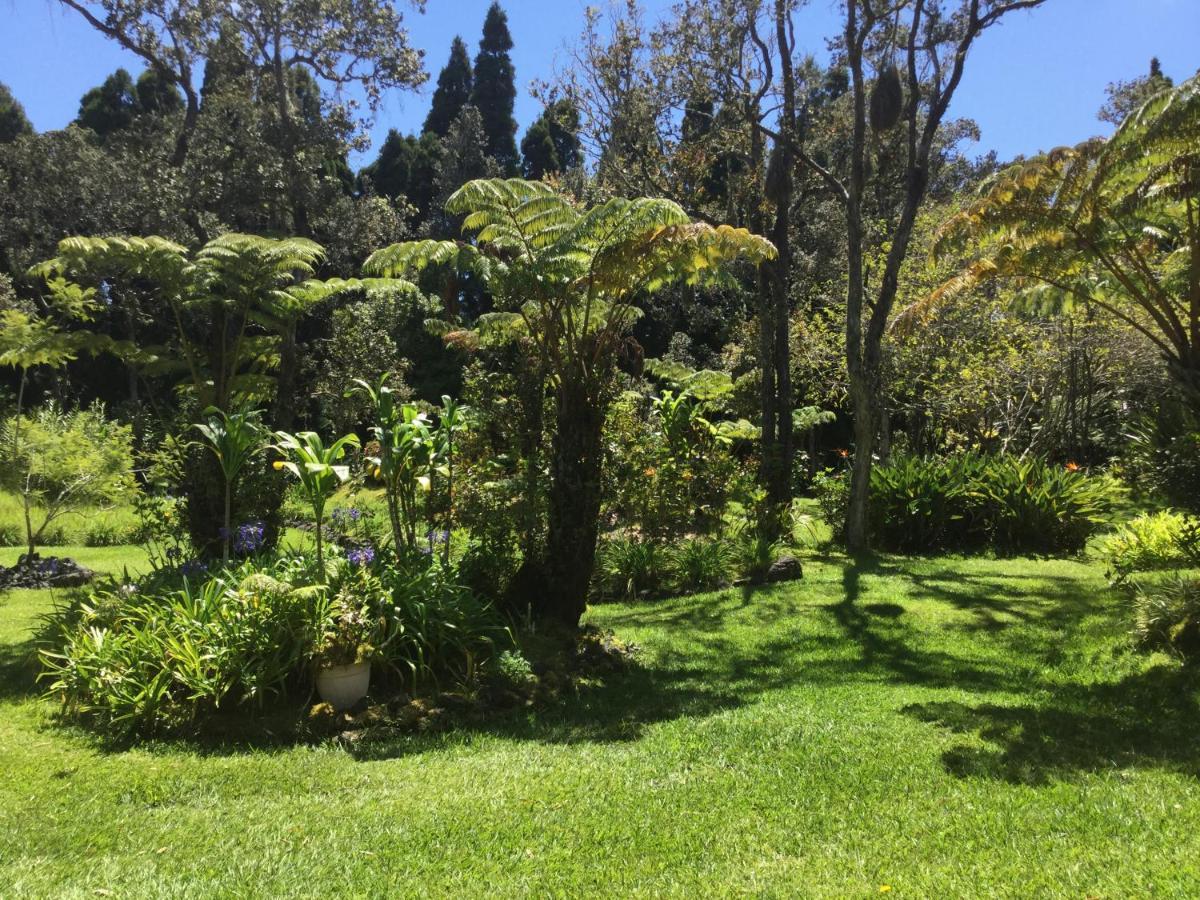 Hale 'Ohu Bed & Breakfast Volcano Exterior photo